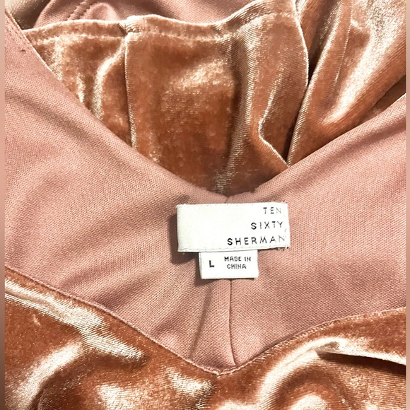 Ten Sixty Sherman Velvet Dress Dusty Rose Size L - Picture 4 of 4